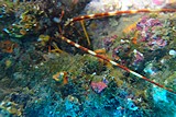 DSC02167.jpg